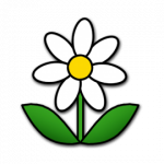 květina 4